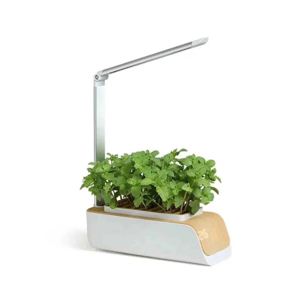 EcoDive Smart Garden | Indoor Gewächsstation für Küchenkräuter